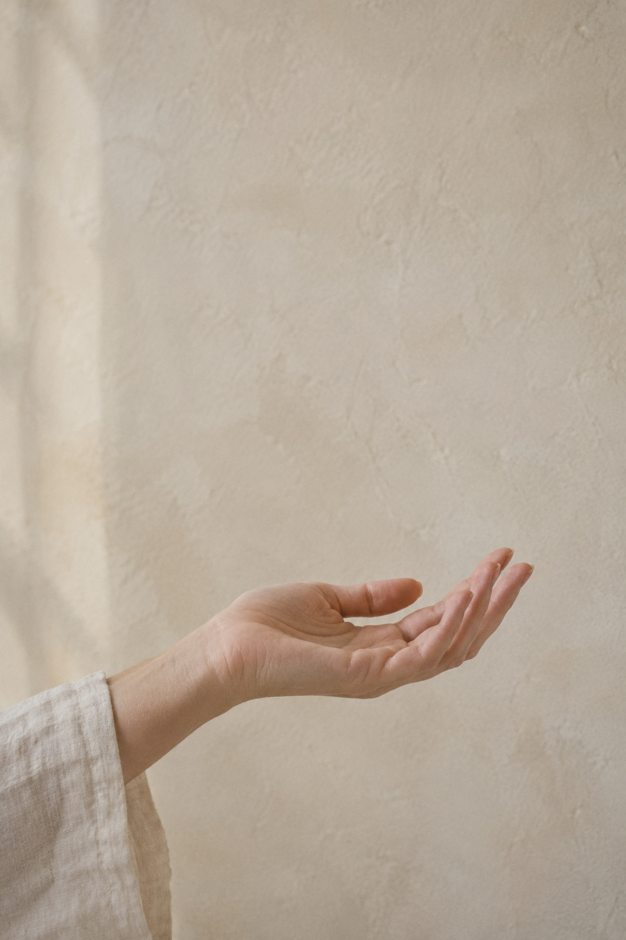 An open hand with a slowly turning ammonite shell above it